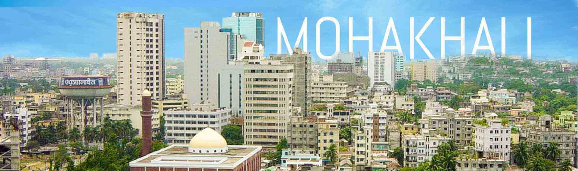 Mohakhali — view 3