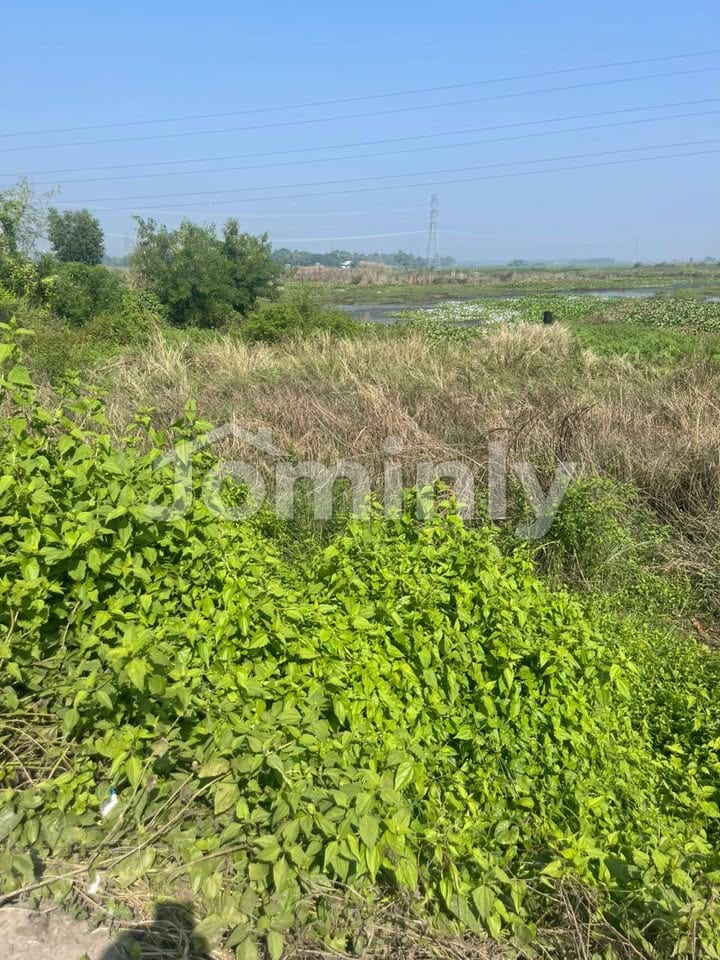 8 Bigha Industrial Land for Sale in Pubail near Purbachal | 299ft Frontage | Beside 80ft Road