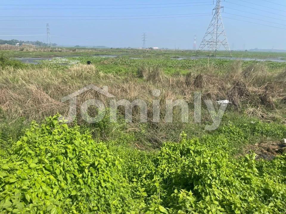 8 Bigha Industrial Land for Sale in Pubail near Purbachal | 299ft Frontage | Beside 80ft Road - 2