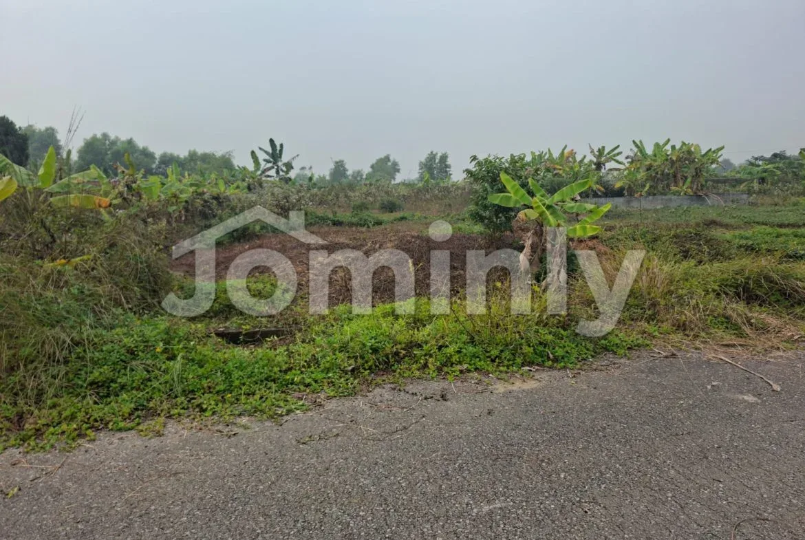 Prime 6 Katha South-East Corner Plot for Sale in Sector 28, Purbachal | Road 312