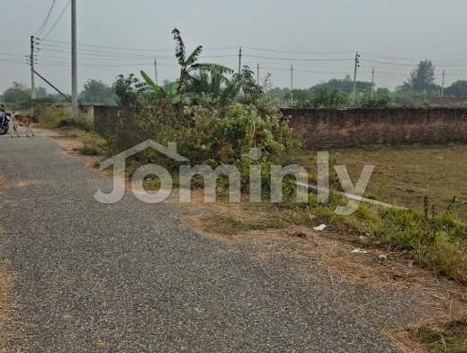 Prime 5 Katha North Facing Plot for Sale in Purbachal New Town | Sector 24, Road 312
