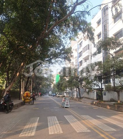 Exclusive 8.25 Katha Residential Plot for Sale at Baridhara Diplomatic Zone | Park Road | Magnificent View - 3