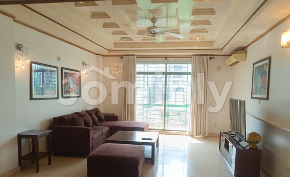 Exceptional 3410 Sqft Luxury Apartment for Sale in Gulshan-2 | North Facing | 2 Car Parking