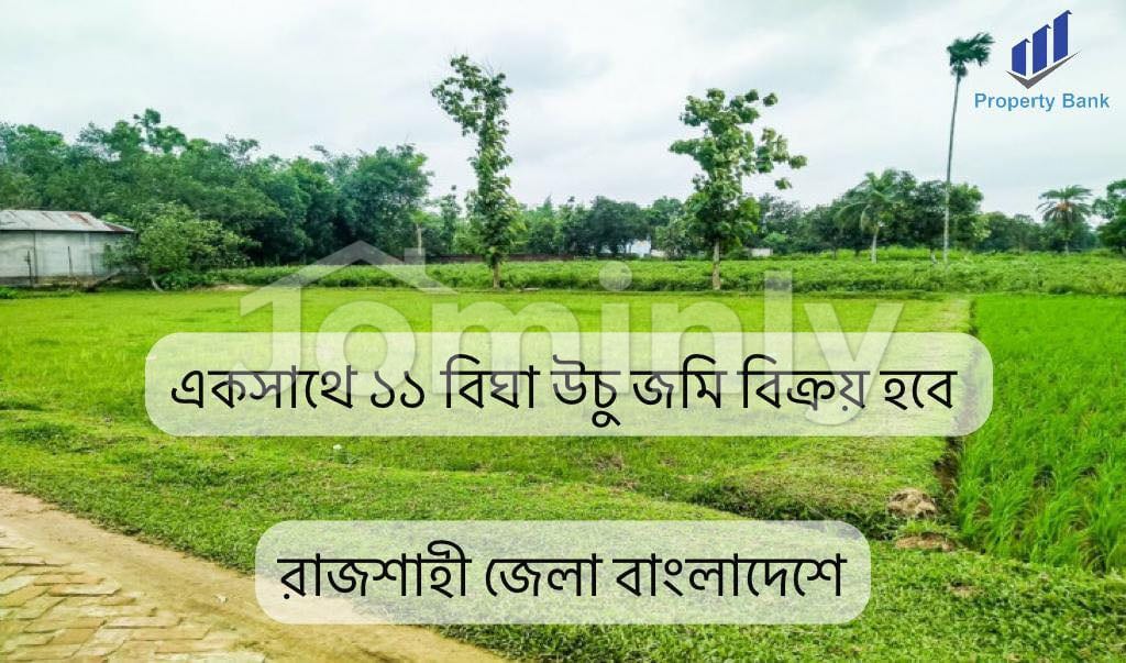 11 Bigha Industrial & Residential Land for Sale in Katakhali, Rajshahi