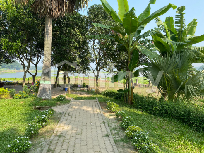 Prime 3 Katha Plot for Sale in Purbachal Pine City | Bhaiya Housing Near Rajuk Sec 27 & 300 Ft Hwy (5, 10, 15 & 20 Katha available)
