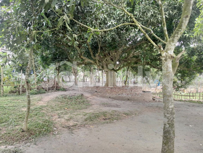 Premium 10 Katha Plot for Sale in Purbachal Pine City | Bhaiya Housing Near Rajuk Sec 27 & 300 Ft Hwy (3, 5, 15 & 20 Katha available)
