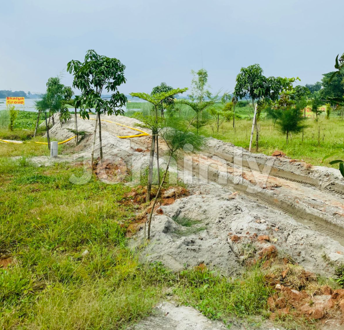 Near 180 feet Bhulta Gawsia Highway 3 Katha Land Sales!