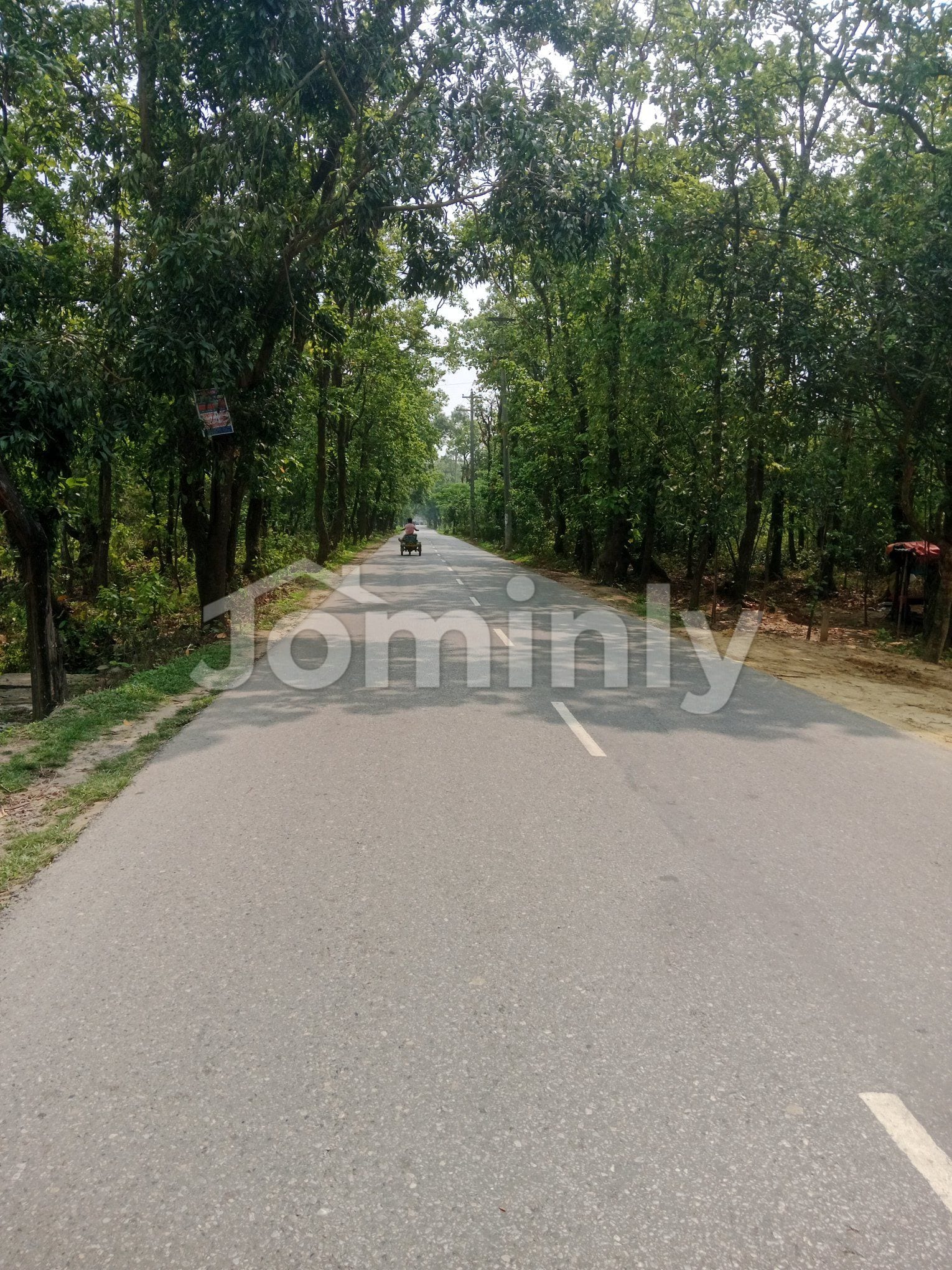 Massive 24,000 Sft Industrial Shed with High Power Capacity for Rent in Gazipur - 3