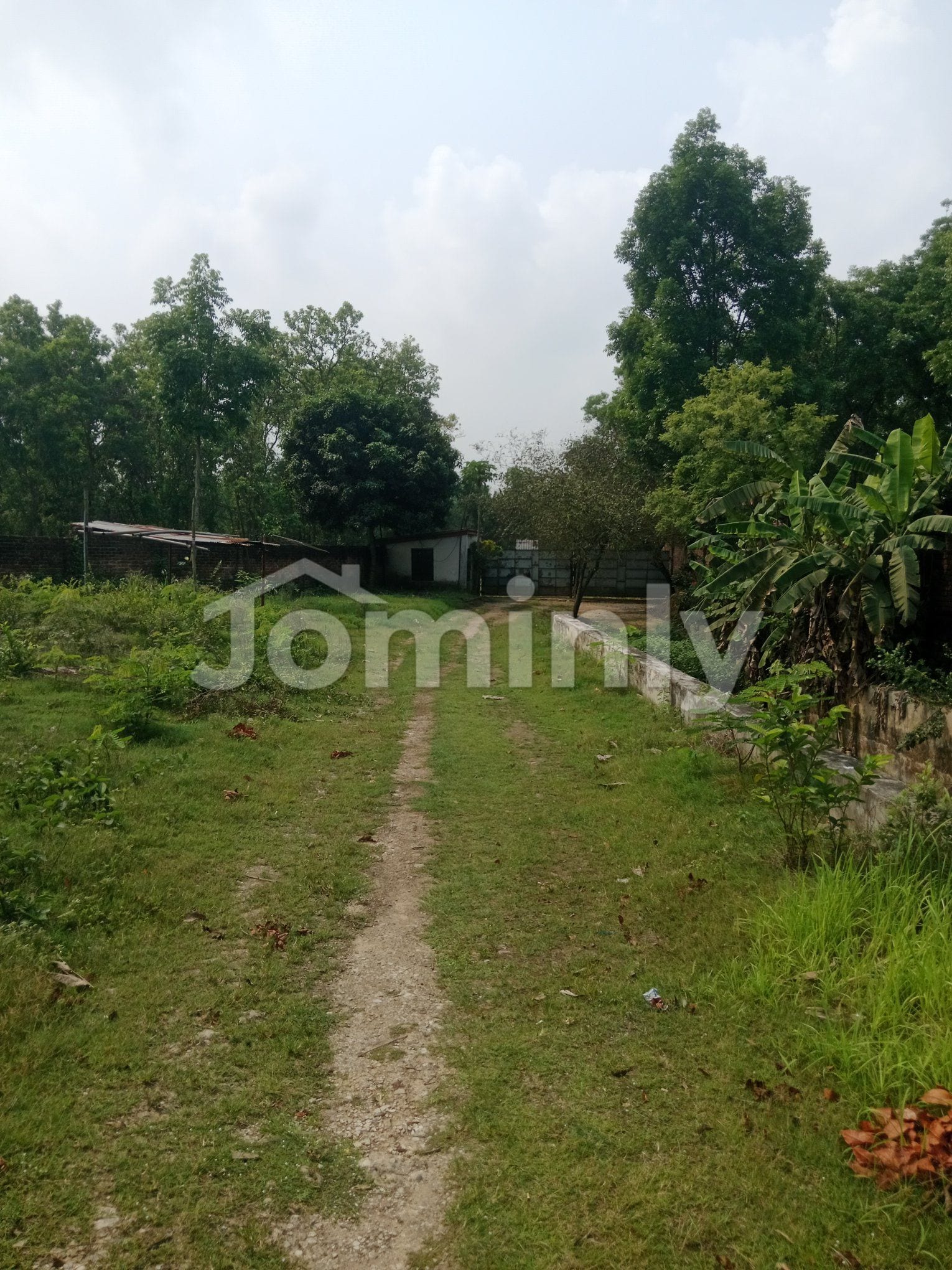 Massive 24,000 Sft Industrial Shed with High Power Capacity for Rent in Gazipur - 4