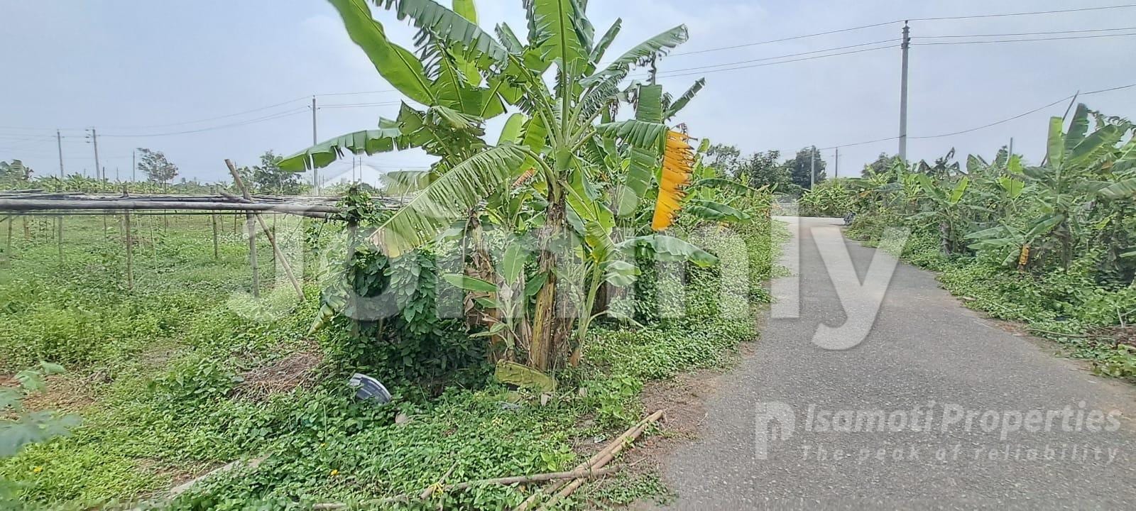North-Facing Best Budget 5 Katha Residential Plot @ Sector 28, RAJUK Purbachal New Town - 3