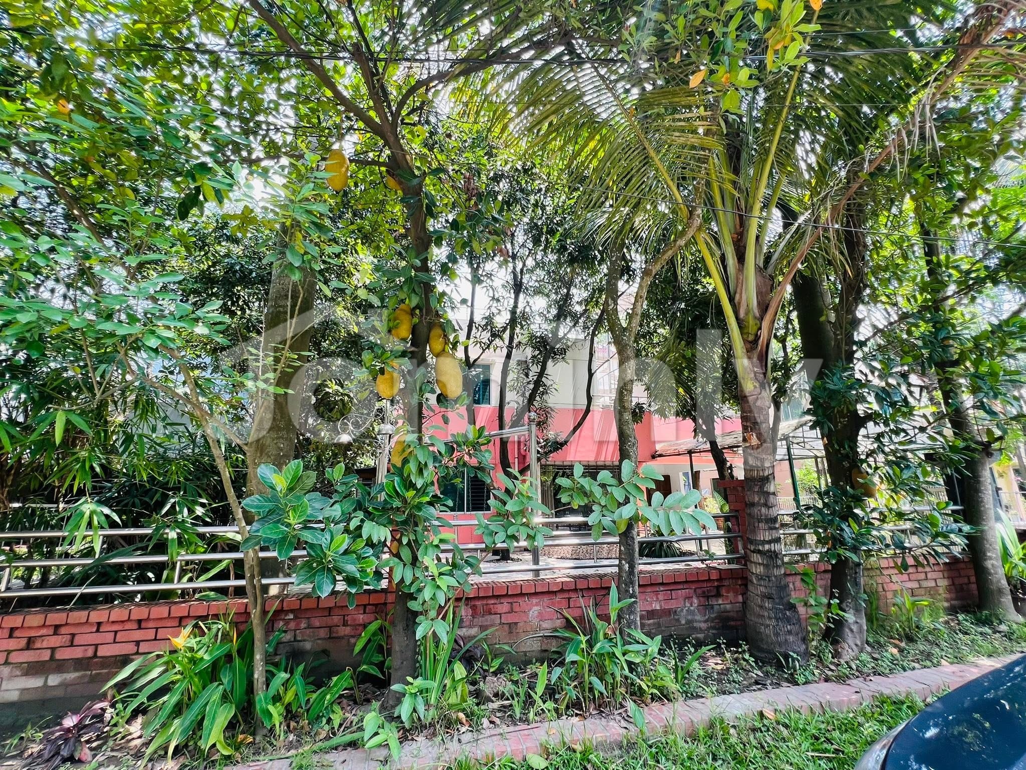 5 Katha South-Facing Corner-Like Plot with Luxury Duplex for Sale | Phase 1, Pink City | 5 Beds, 5 Baths, Dead-End Quiet Road with Lush Trees - 4