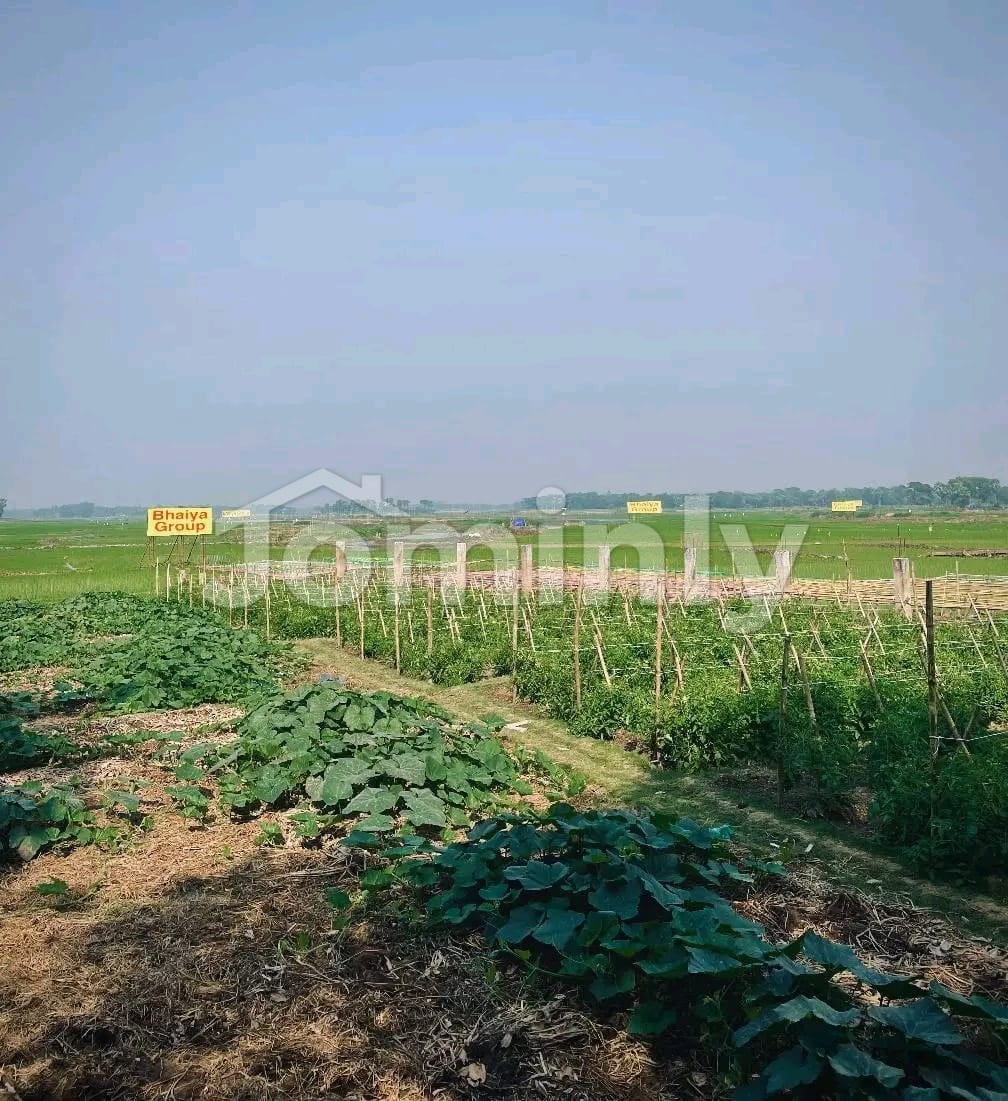 Promotional Offer! 20 Katha Land for BDT 1 Crore in Purbachal Pine City | Bhaiya Housing Near Rajuk Sec 27 & 300 Ft Hwy (3, 5, 10 & 15 Katha also available) - 5