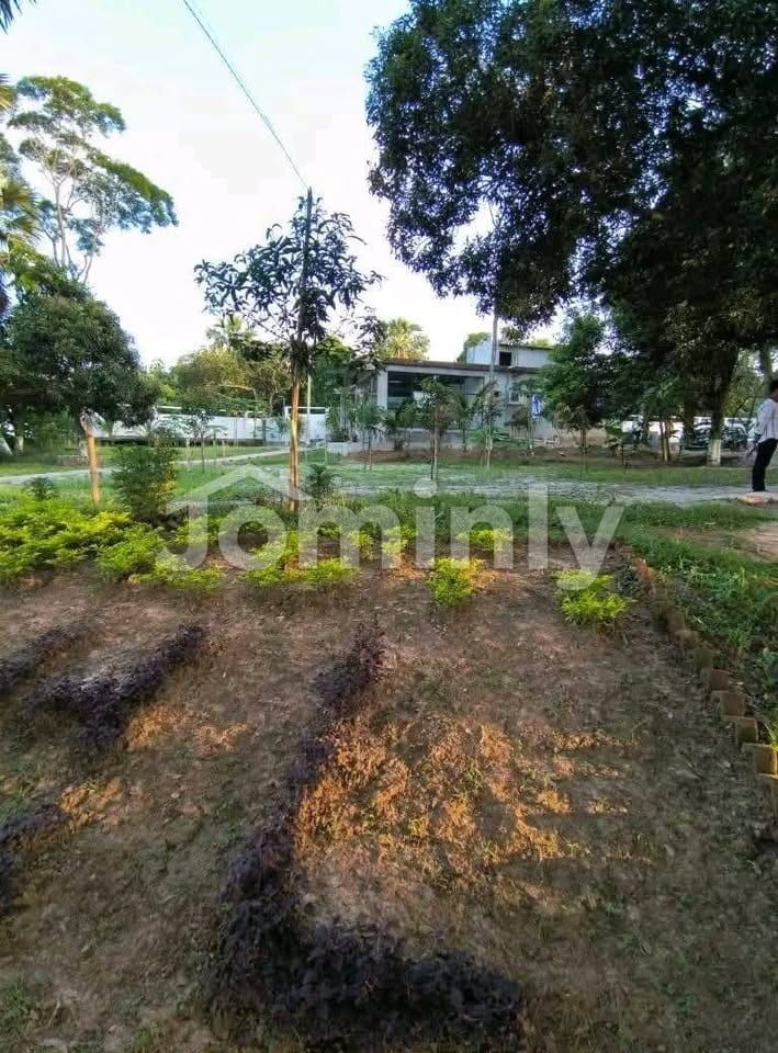 3, 5 & 10 Katha Plots for Sale in Pine City Project Adjacent to Purbachal Sector 27 - 2