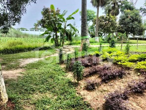 3, 5 & 10 Katha Plots for Sale in Pine City Project Adjacent to Purbachal Sector 27 - 3