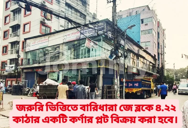 Urgent 4.22 Katha Corner Plot for Sale | Baridhara R/A, Block J | Prime Residential Location with Dual Road Frontage