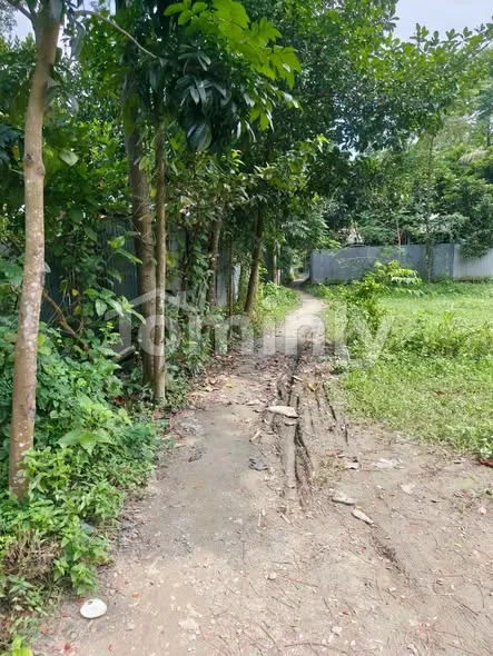 2 Shotangsho Land with Completed Single-Storied House for Sale | Kharakandi Kalatia Keraniganj - 4