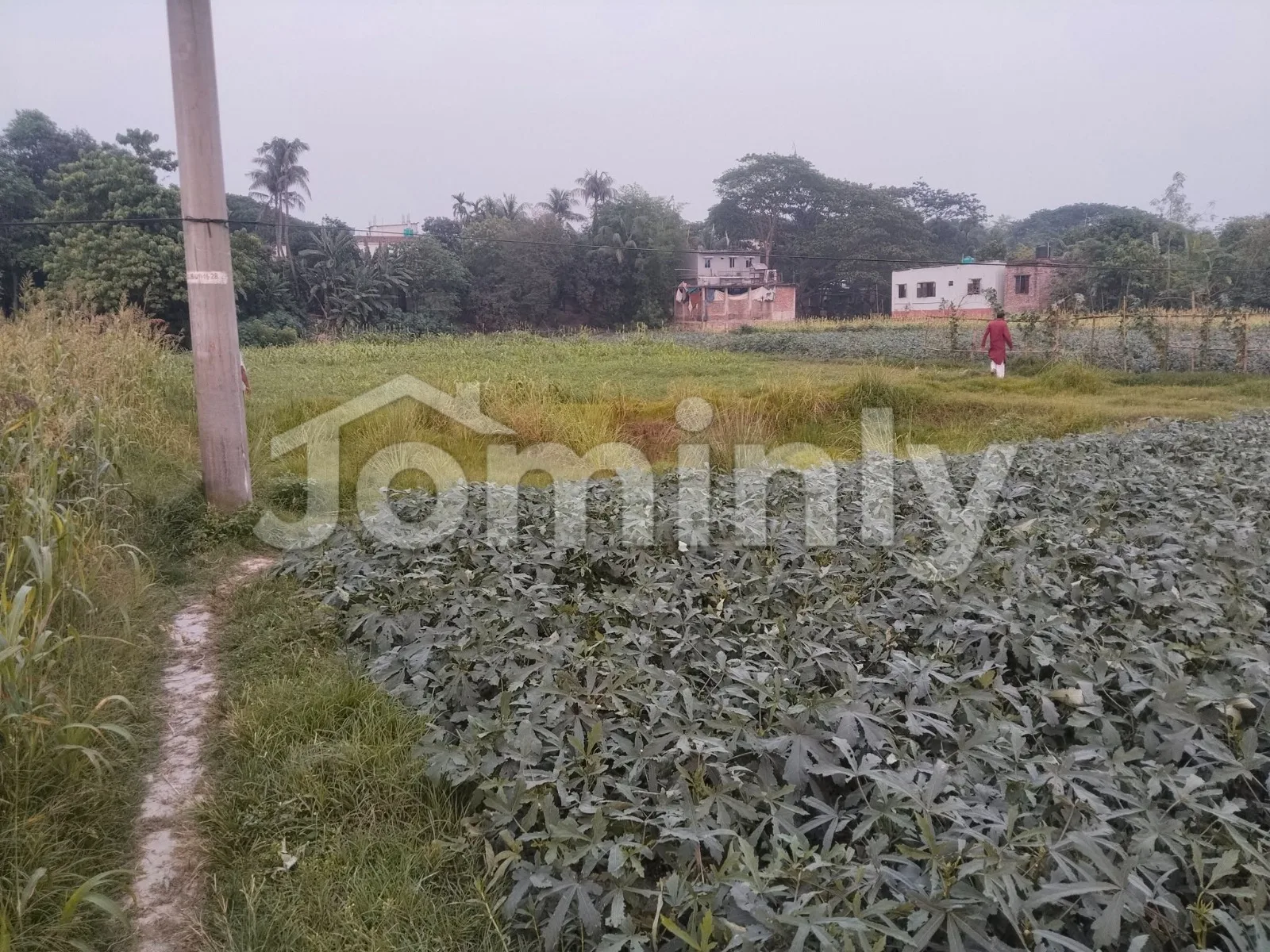 Land Plot for Sale | Near Kalatia Bazar, Mohammadpur